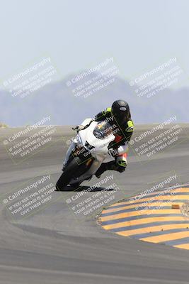 media/May-14-2023-SoCal Trackdays (Sun) [[024eb53b40]]/Turn 12 (1145am)/